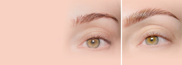 Analyse des sourcils avant la coloration et le rehaussement