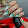Vernis Semi-Permanent Auto-réflechissant Brillant NEON No1 Didier Lab 8ml